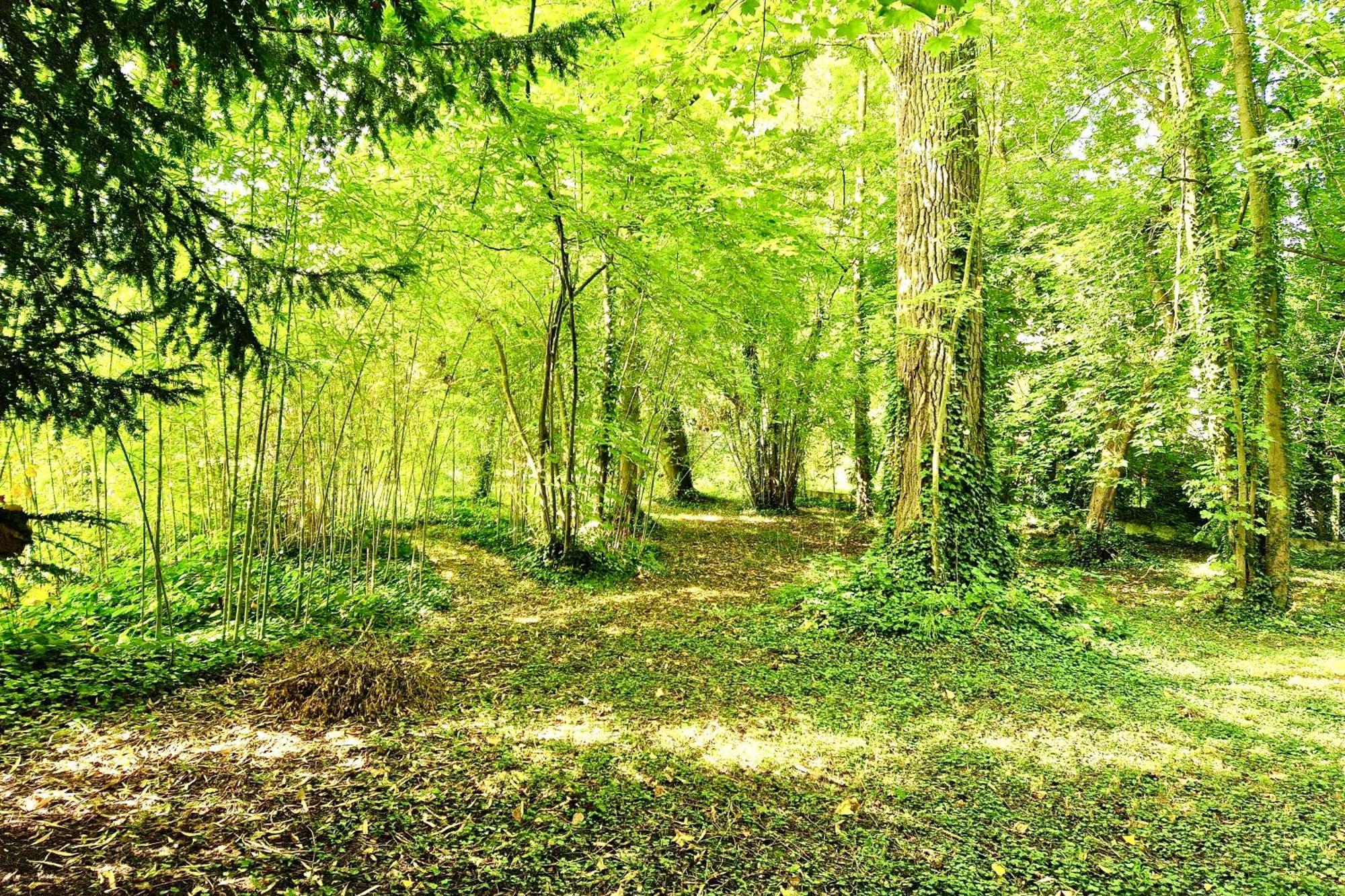 Villa Edouard - 180M2 In Nature & Forest - 20Min Disney - 7Min Airport Claye-Souilly Exteriér fotografie